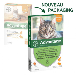 BAYER Advantage 40 Solution Antipuce Pour Chat et Lapin de Moins de 4kg - 4 Pipettes