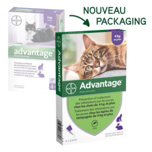 Bayer Advantage 80 Solution Antipuce Pour Chat et Lapin de 4kg et Plus - 4 Pipettes