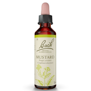 Fleurs de Bach Original 21 Mustard (Moutarde) - 20ml