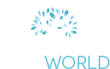 Paraworld